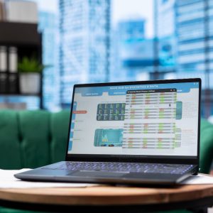 Microsoft Excel - Advanced